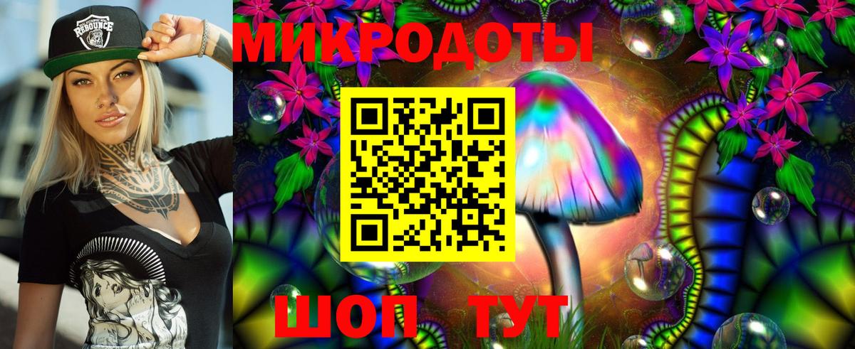 Борисоглебск  Галлюциногенные грибы мицелий  Псилоцибиновые грибы Psilocybe  где купить   Вход с VPN 